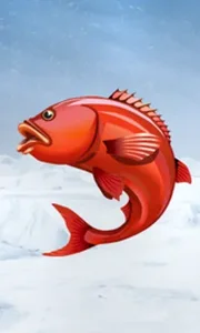 Ice Fishing